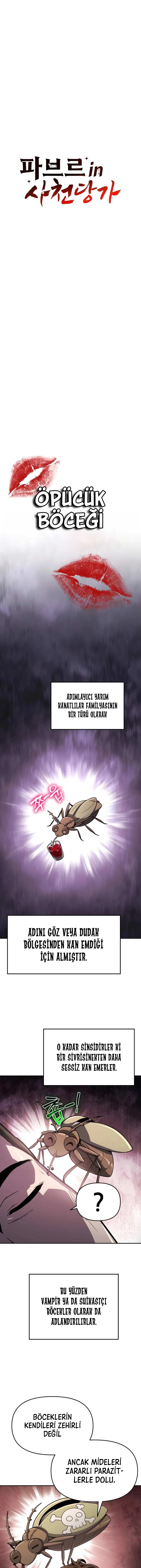 1 6 6