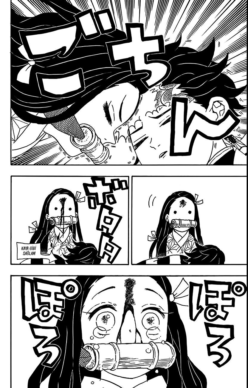 1 56 19