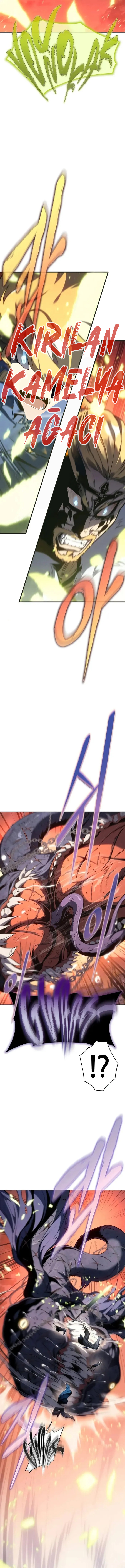 1 23 6