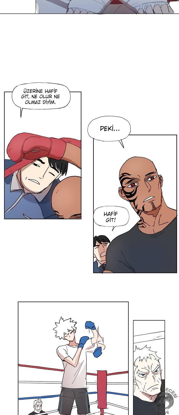 1 1 13