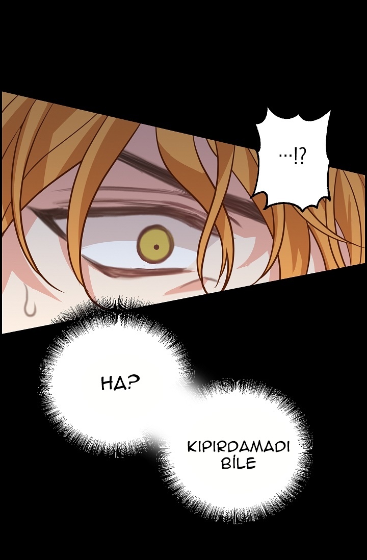 1 36 21