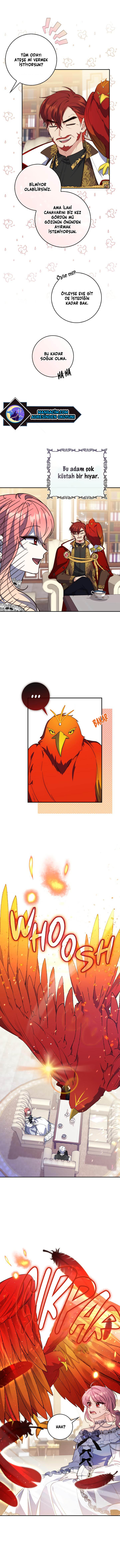 1 15 6